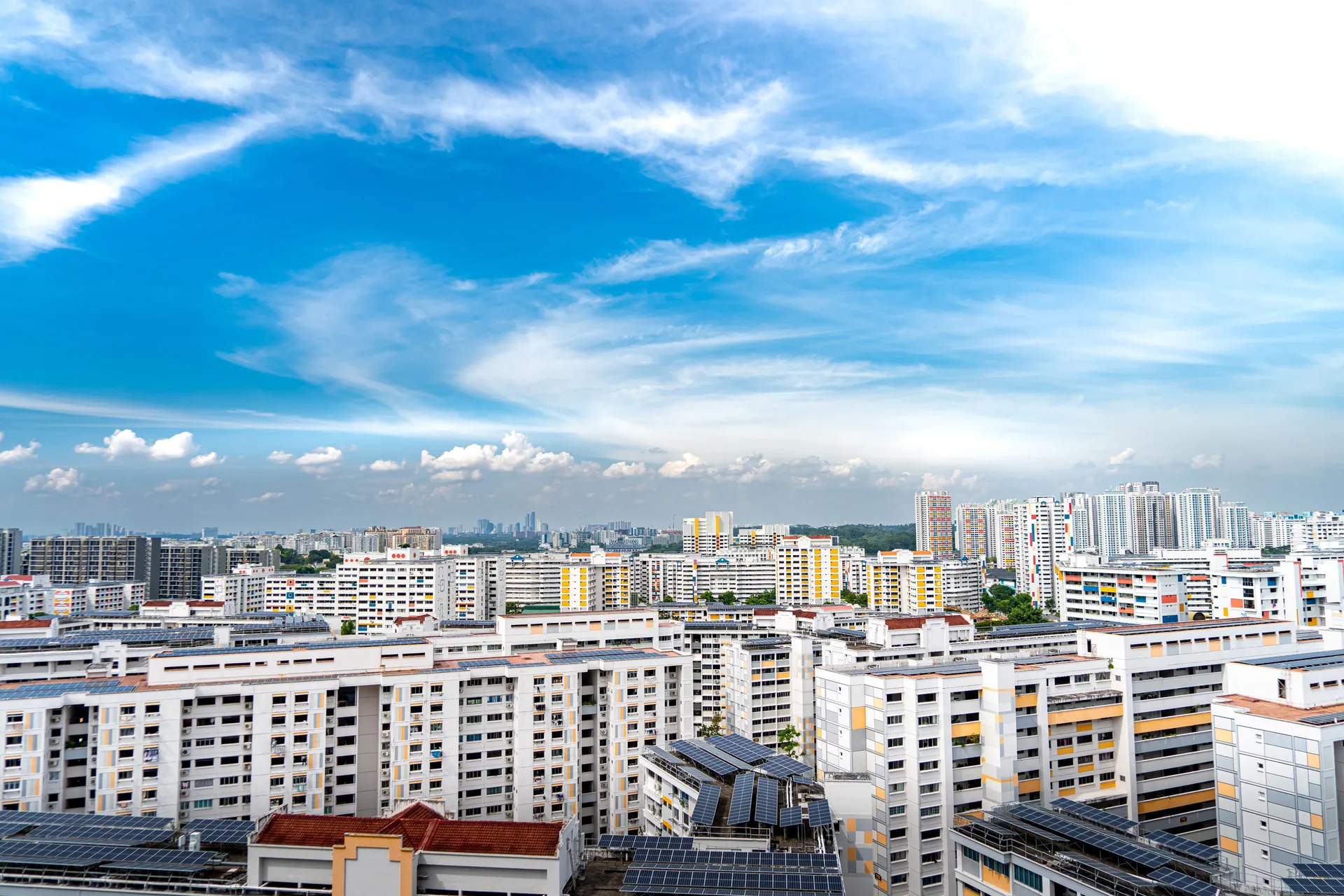 Mould Eradication in Singapore: A Comprehensive Guide