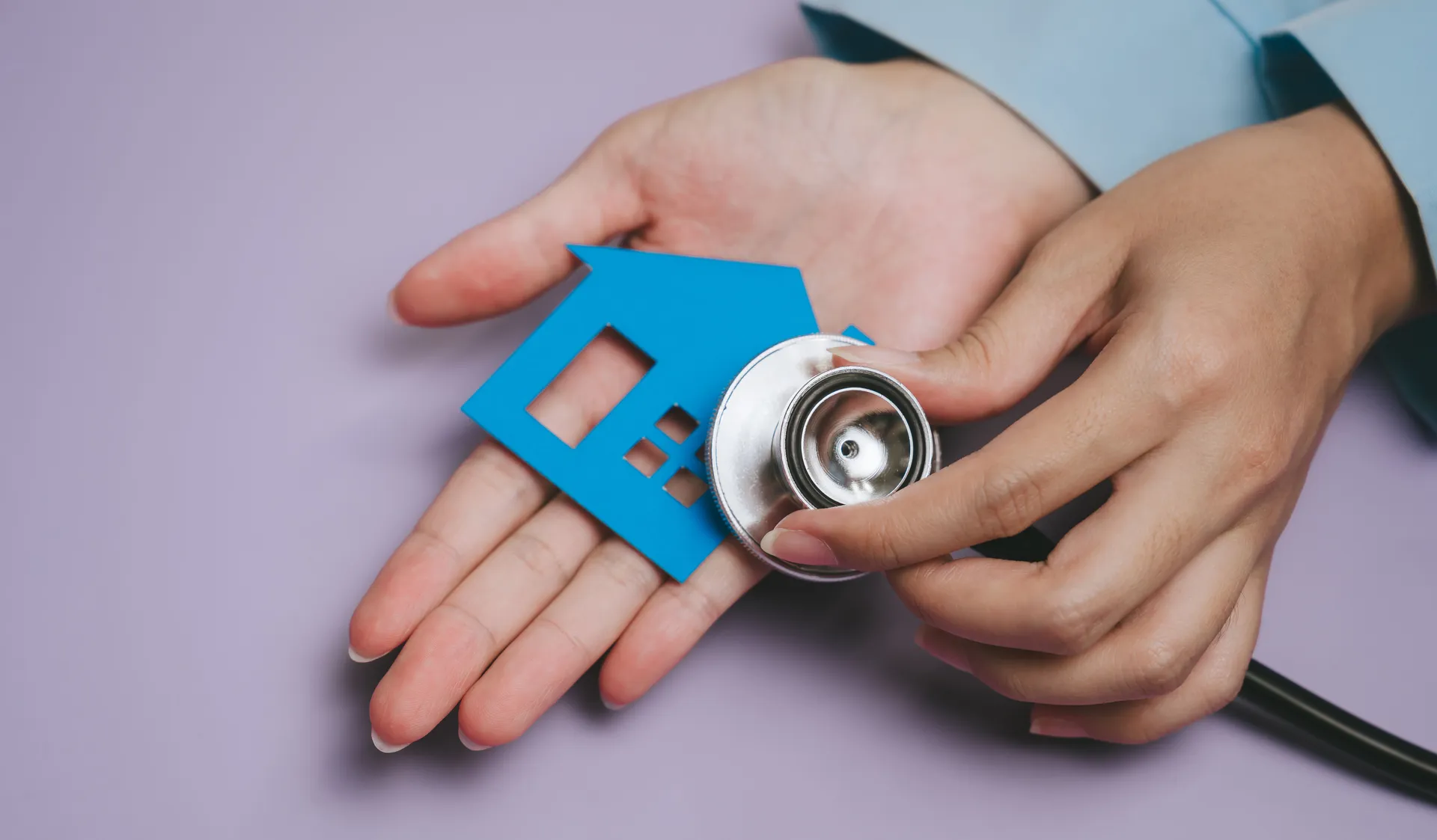 Mould Eradication in Singapore: How Pico X Health Ensures a Safe Home Environment