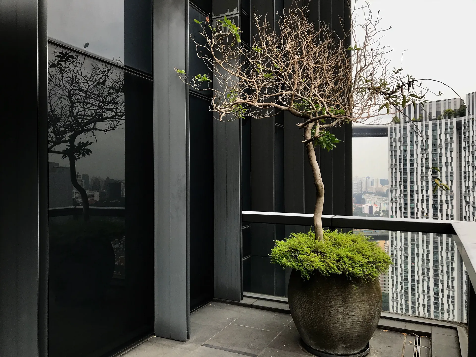 Sustainable Home Decor Trends for Singapore Residents