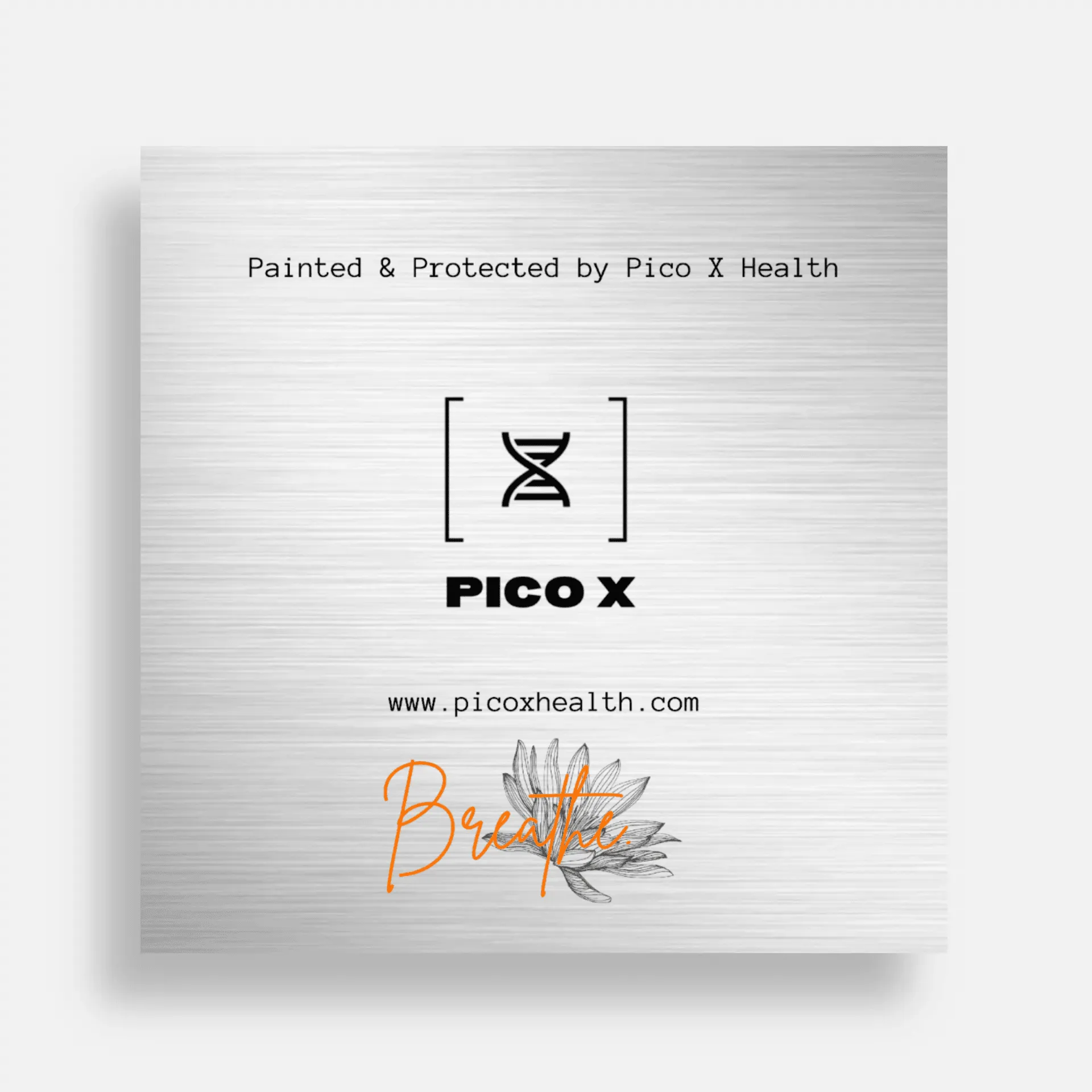 Pico X Health limewash painting Singapore