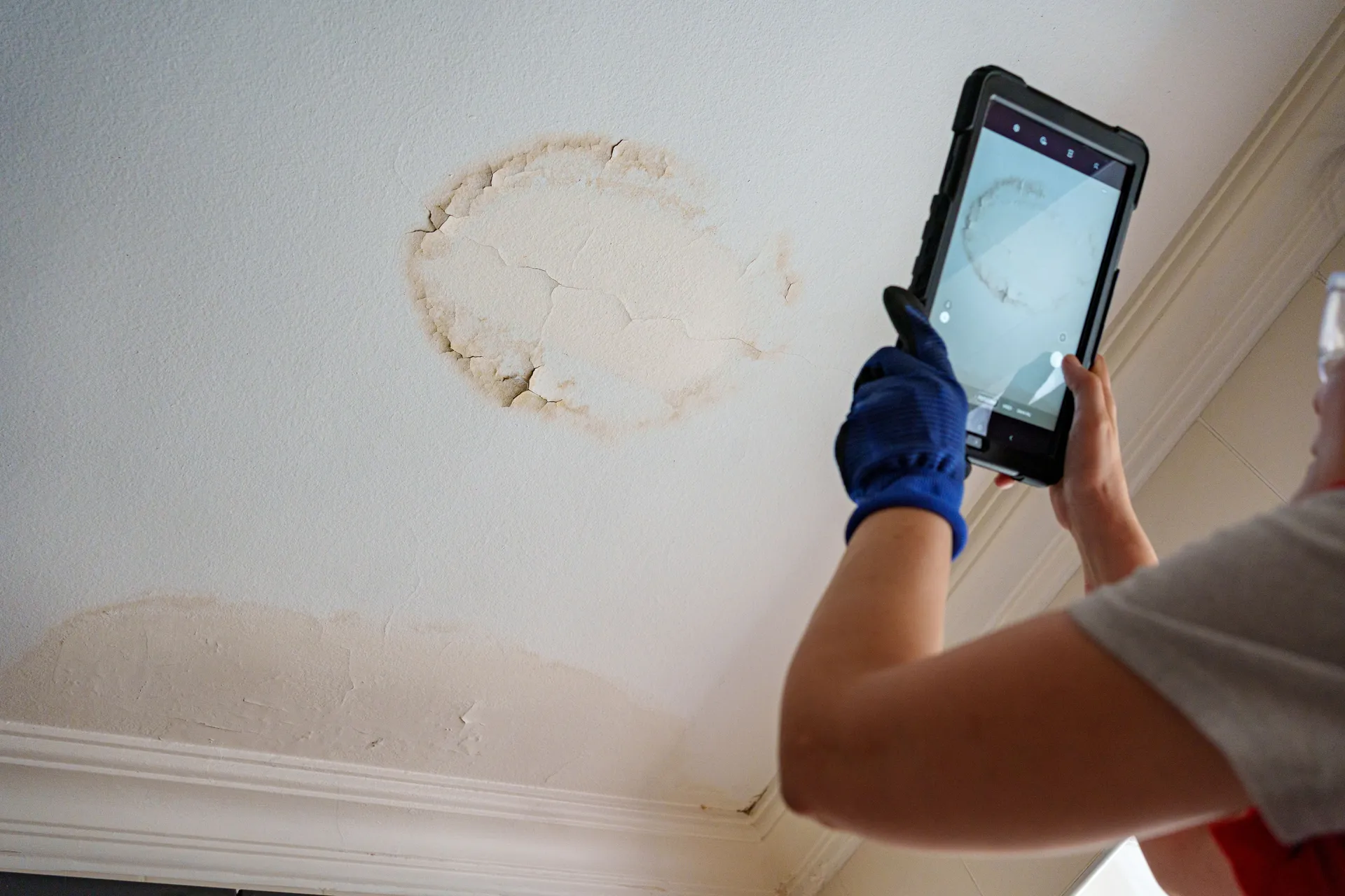 Enhancing Indoor Air Quality with Anti-Mould Paint: What You Need to Know