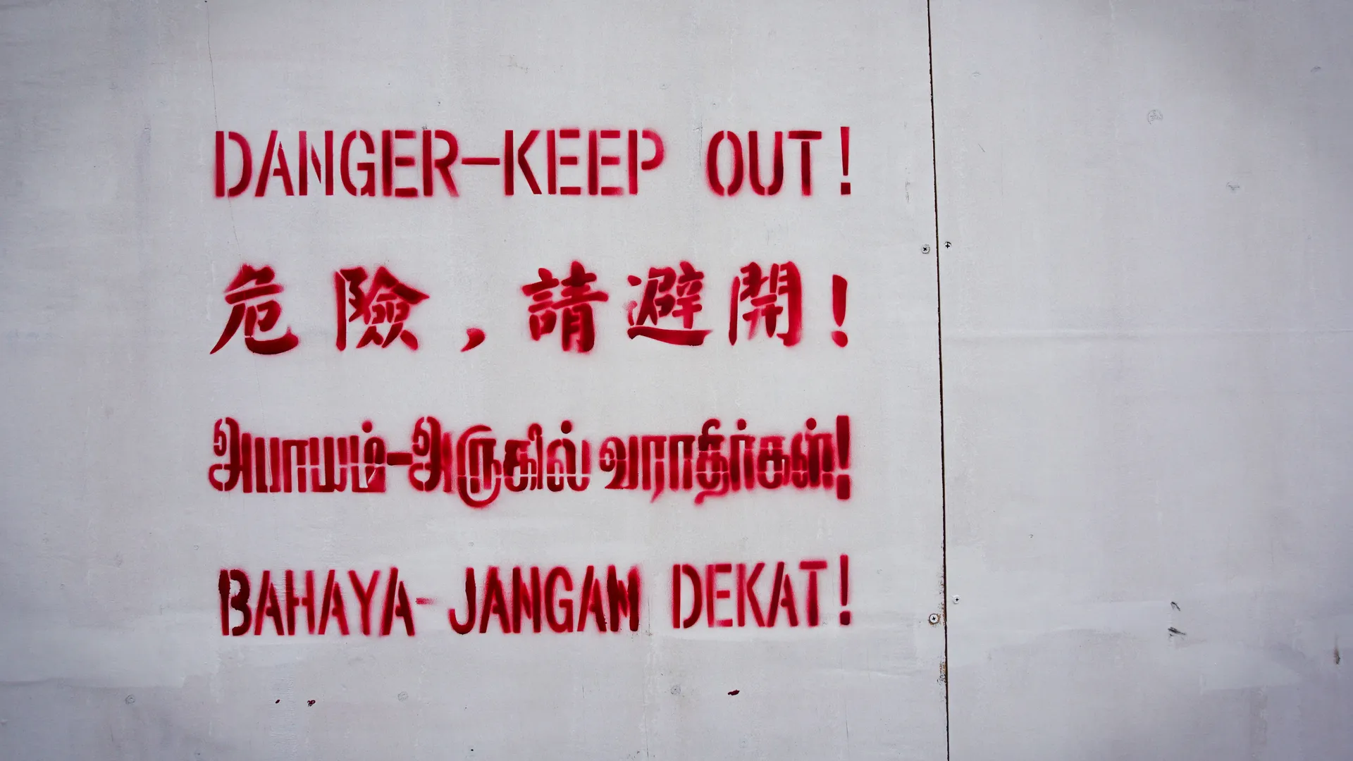 Mould Eradication in Singapore: A Comprehensive Guide to Cleaner, Healthier Walls