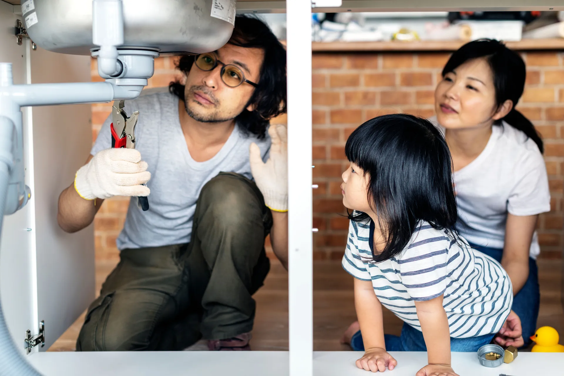 How to Choose the Right Mould Removal Service in Singapore for a Healthier Home