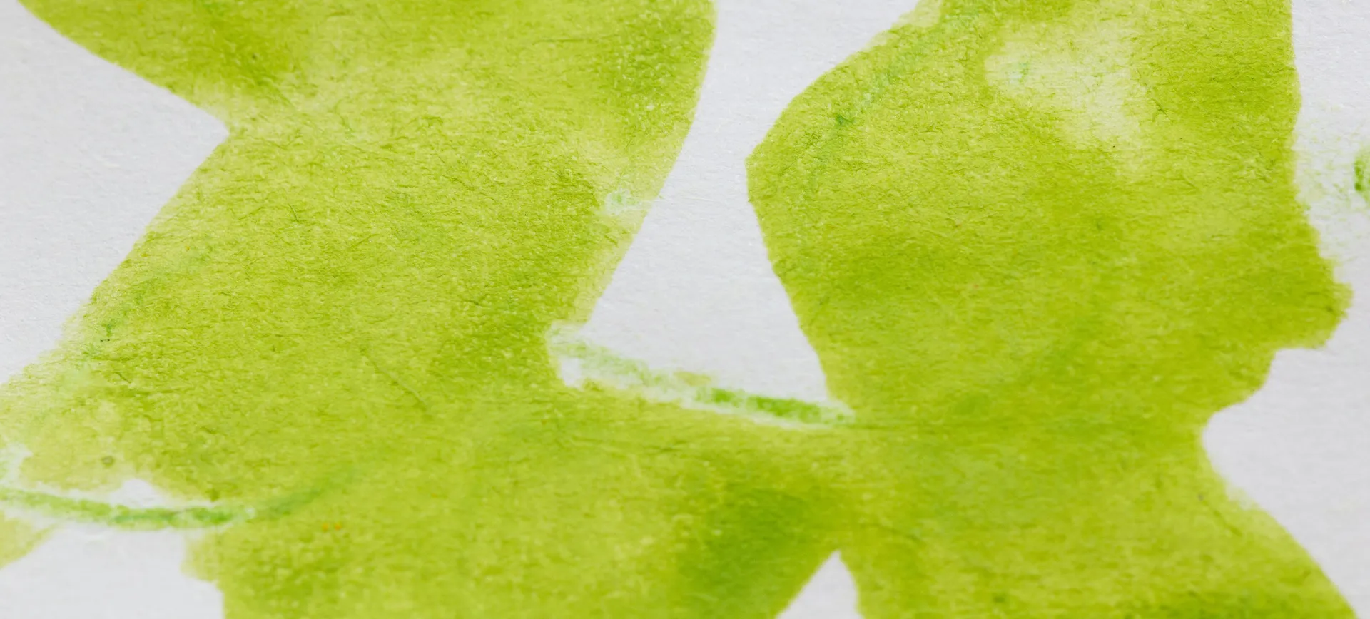 Transform Your Space: A Beginner's Guide to Lime Wash Painting